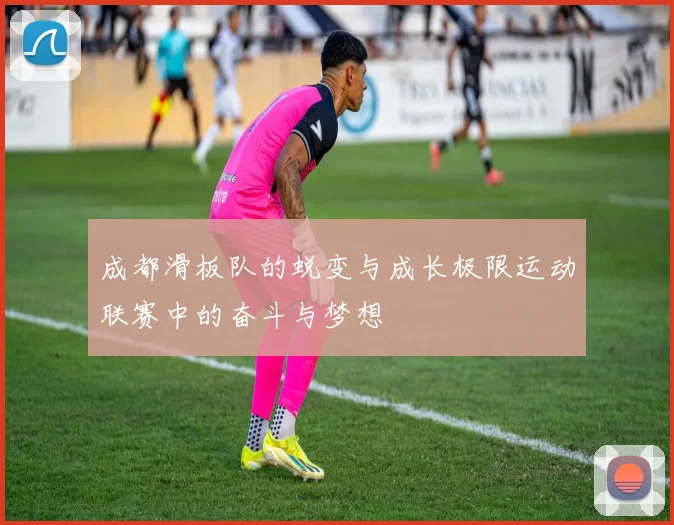 成都滑板队的蜕变与成长极限运动联赛中的奋斗与梦想