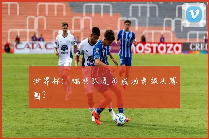 世界杯:瑞典队是否成功晋级决赛圈?
