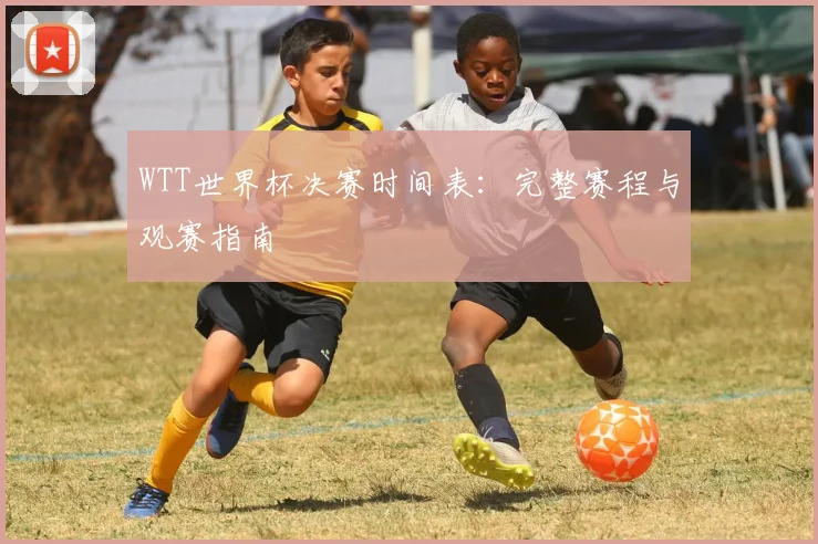 WTT世界杯决赛时间表：完整赛程与观赛指南