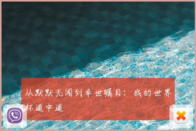 从默默无闻到举世瞩目:我的世界杯道中道