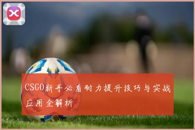 CSGO新手必看耐力提升技巧与实战应用全解析