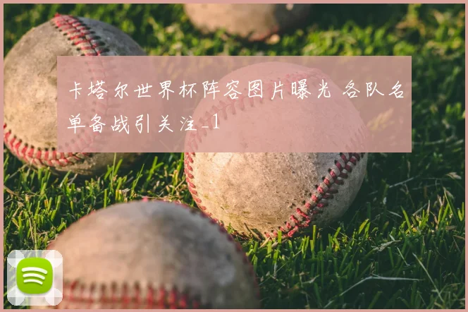 卡塔尔世界杯阵容图片曝光 各队名单备战引关注_1