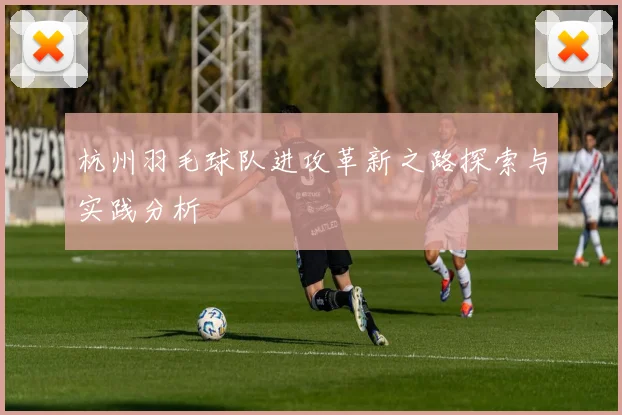 杭州羽毛球队进攻革新之路探索与实践分析
