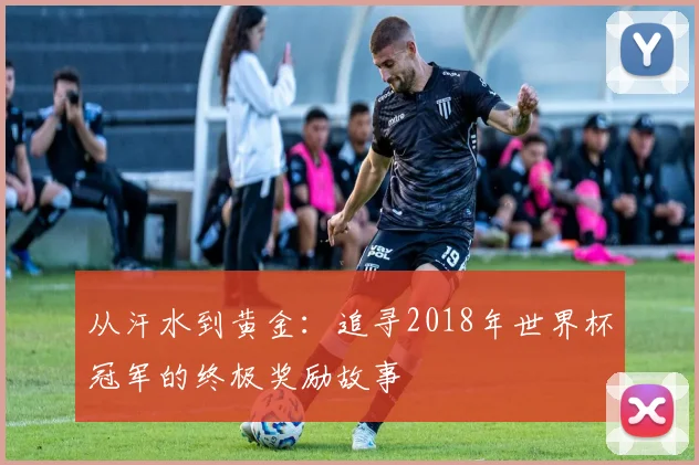 从汗水到黄金：追寻2018年世界杯冠军的终极奖励故事