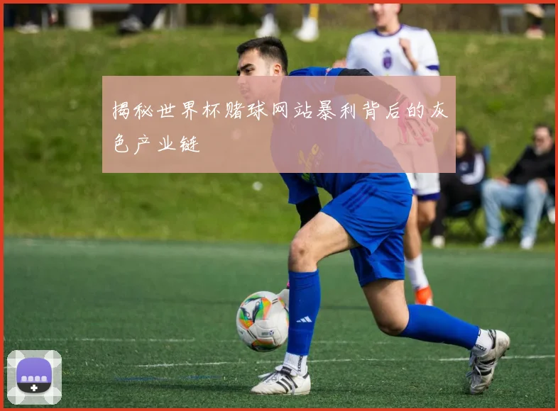 揭秘世界杯赌球网站暴利背后的灰色产业链
