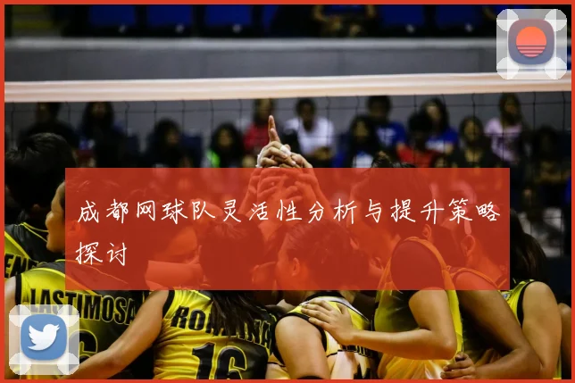 成都网球队灵活性分析与提升策略探讨