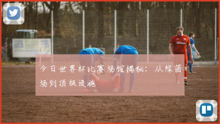 今日世界杯比赛场馆揭秘:从绿茵场到顶级设施