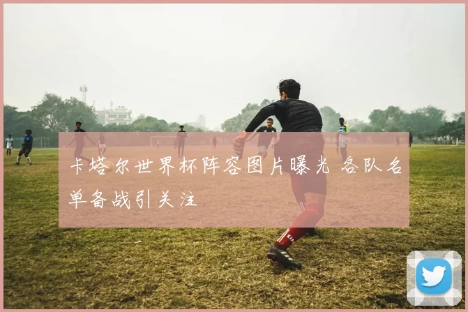 卡塔尔世界杯阵容图片曝光 各队名单备战引关注