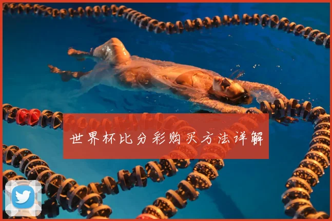 世界杯比分彩购买方法详解