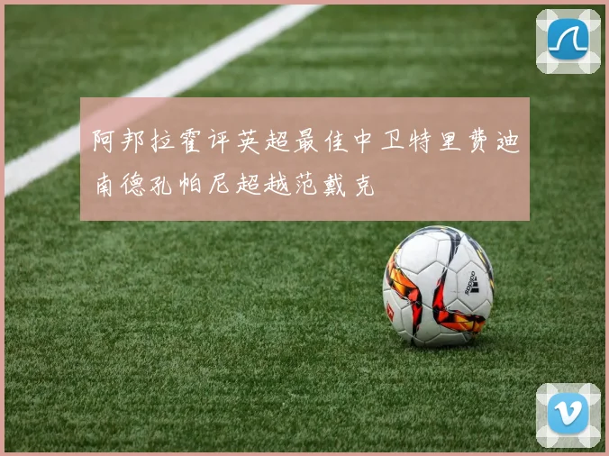 阿邦拉霍评英超最佳中卫特里费迪南德孔帕尼超越范戴克