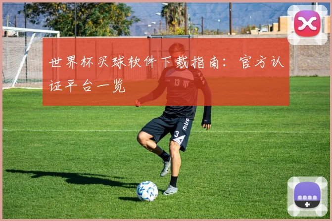 世界杯买球软件下载指南：官方认证平台一览