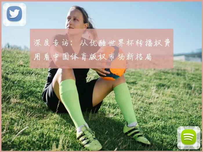 深度专访:从优酷世界杯转播权费用看中国体育版权市场新格局