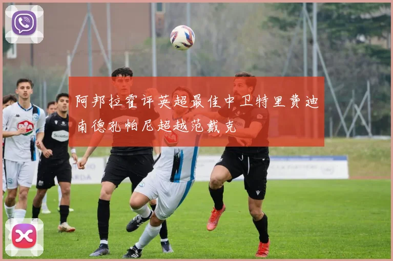 阿邦拉霍评英超最佳中卫特里费迪南德孔帕尼超越范戴克